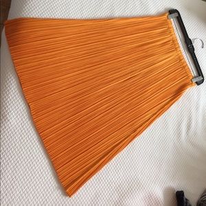 Issey Miyake Skirt from the Pleats Please series